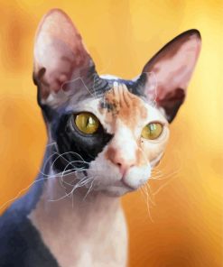 Hairless Kitty Diamond Paintings