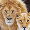 Lion And Lioness Diamond Paintings