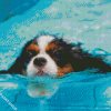 Little Dog In Pool Diamond Paintings