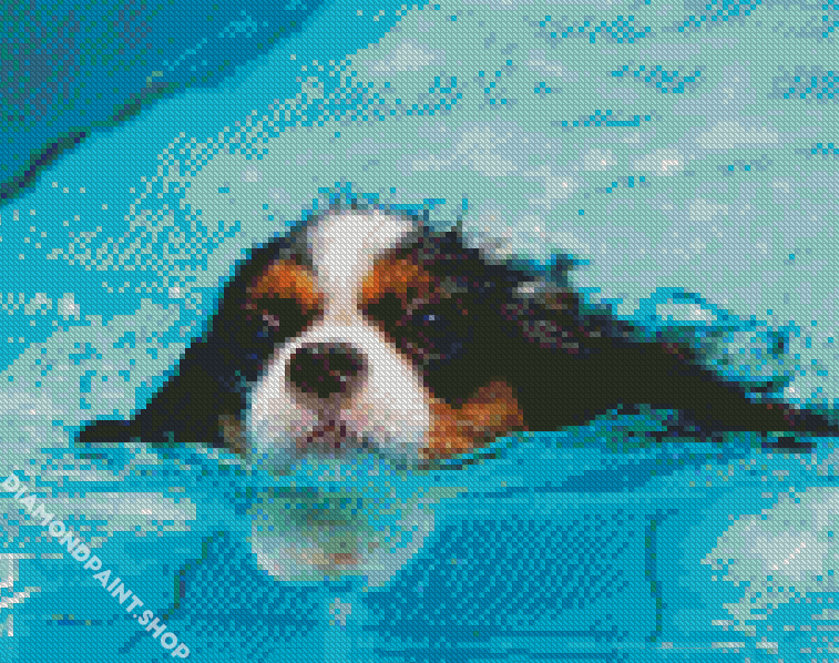 Little Dog In Pool - Diamond Paintings 