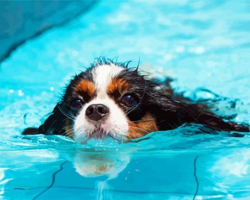 Little Dog In Pool Diamond Paintings