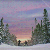 Newfoundland Skiing Sunset Diamond Paintings