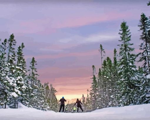 Newfoundland Skiing Sunset Diamond Paintings