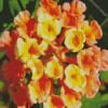 Orangle Lantanas Flowers Diamond Paintings