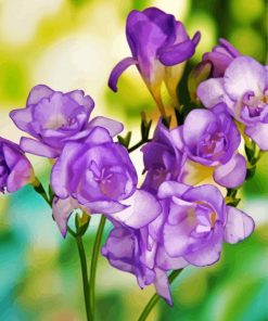 Purple Freesia Flowers Diamond Paintings