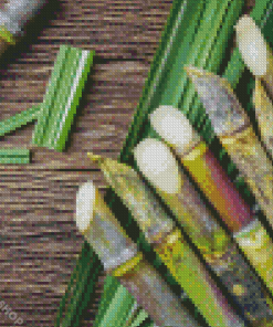 Sugarcane Plant Diamond Paintings