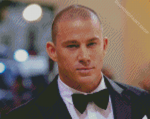 Channing Tatum Actor Diamond Paintings