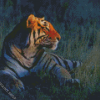 Tiger Animal Diamond Paintings