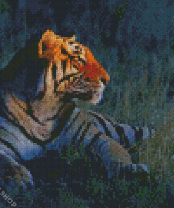 Tiger Animal Diamond Paintings