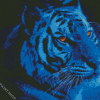 Tiger With Brilliant Eyes Diamond Paintings