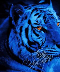 Tiger With Brilliant Eyes Diamond Paintings