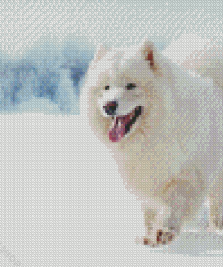White Winter Dog Diamond Paintings