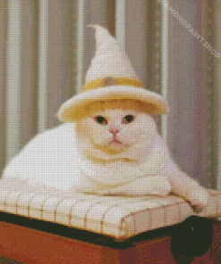 Wizard Cat With Hat Diamond Paintings