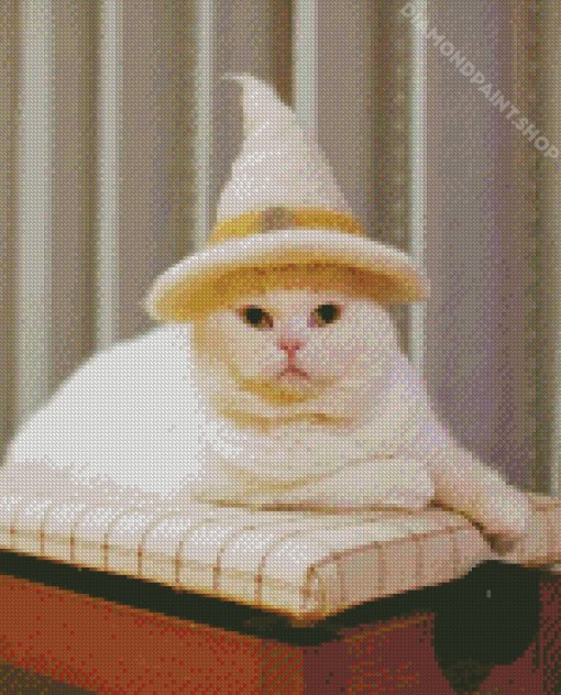 Wizard Cat With Hat Diamond Paintings
