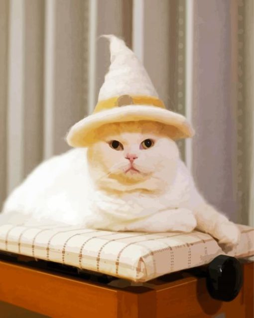Wizard Cat With Hat Diamond Painting