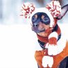 Adorable Winter Dog Diamond Paintings