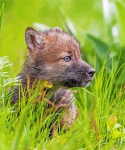 Adorable Wolf Cub Diamond Paintings