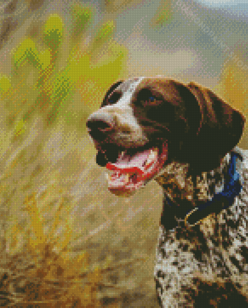 Shorthaired Pointer Puppy Diamond Paintings