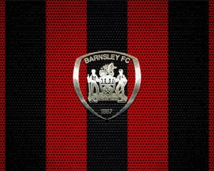 Barnsley Logo Diamond Paintings