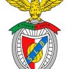Benfica Club Logo Diamond Paintings