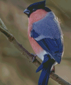 Blue And Pink Swallow Diamond Paintings