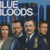 Blue Bloods Characters Diamond Paintings