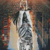 Cat Reflection Tiger Diamond Paintings