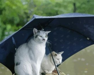 Cats Under Umbrella Diamond Painting