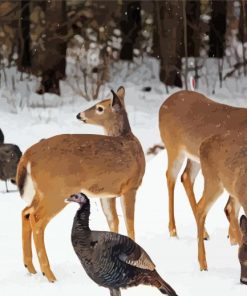 Deer And Turkeys In Snow Diamond Paintings