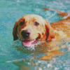 Dog In Water Diamond Paintings