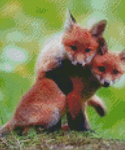 Fox Cubs Diamond Paintings