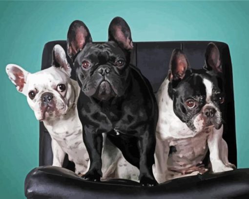 French Terriers Diamond Paintings