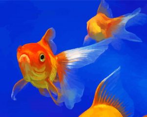 Gold Fish Diamond Paintings