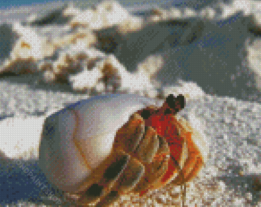 Hermit Crab Diamond Painting
