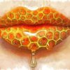 Honey Lips Diamond Paintings
