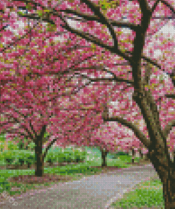 Cherry Blossom Garden Diamond Paintings