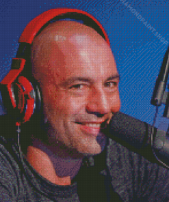 Joe Rogan Diamond Paintings