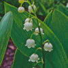 Lilly Of The Valle Diamond Paintings