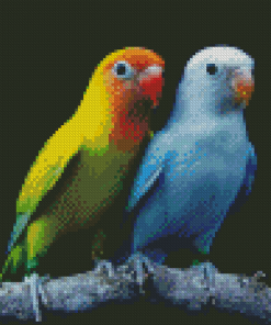 Wonderful Lovebirds Diamond Paintings