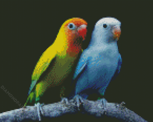 Wonderful Lovebirds Diamond Paintings