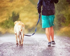 Dog Under Rain Diamond Paintings