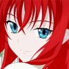 Rias Gremory Character Diamond Paintings