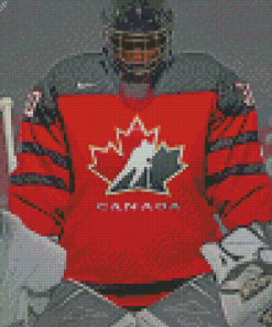 Team Canada Ice Hockey Diamond Paintings