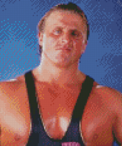WWE Owen Hart Diamond Paintings