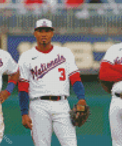Washington National Baseball Players Diamond Paintings