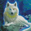 White Wolf Diamond Paintings