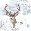 Winter Deer Animal Diamond Paintings