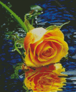 Yellow Rose Flower In Water Diamond Paintings