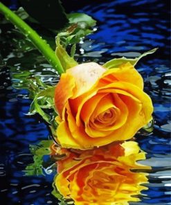 Yellow Rose Flower In Water Diamond Paintings
