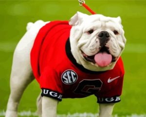 Adorable Georgia Bulldog Diamond Paintings